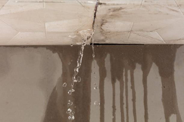 Professional Structural Drying technician working in Parkston, SD
